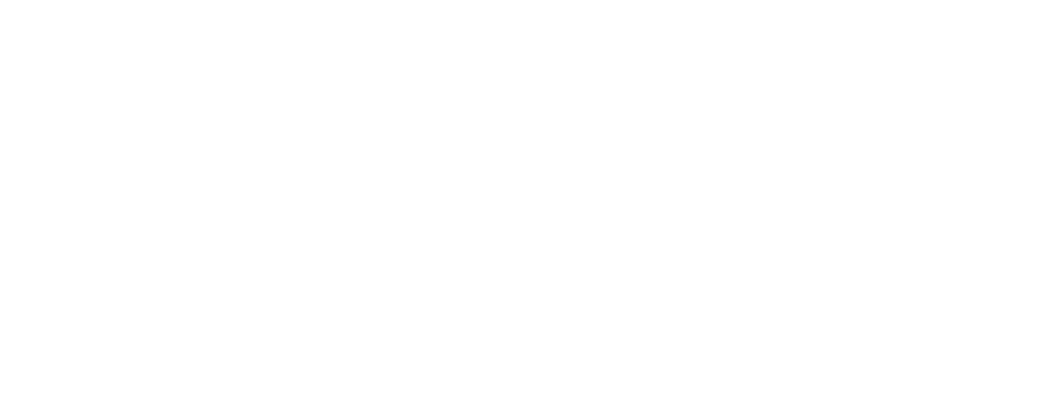 DZ Guitar Lessons logo